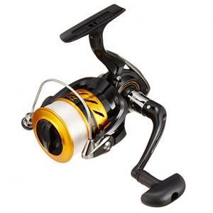 Daiwa 17 World Spin 3000