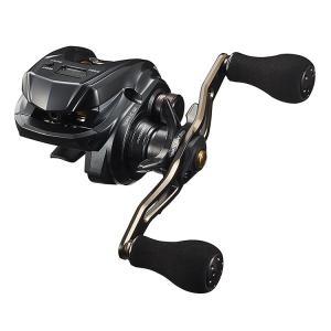 Daiwa 21 Tierra IC 100HL