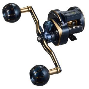 Daiwa 23 Saltiga IC 300-DH