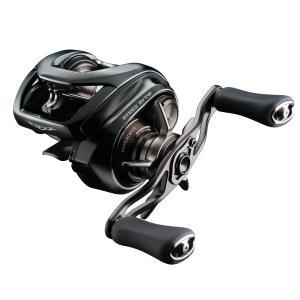 Daiwa 24 Steez SV TW 100L