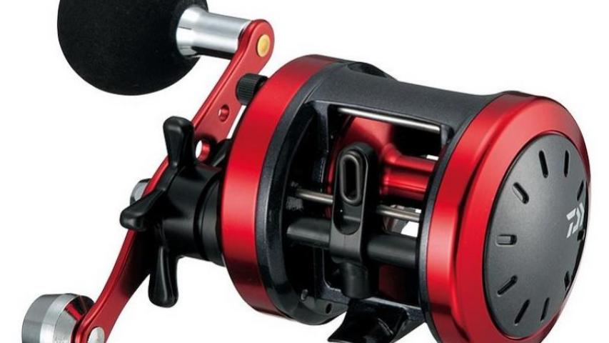 17 Dynastar left side