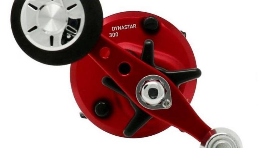 17 Dynastar right side view