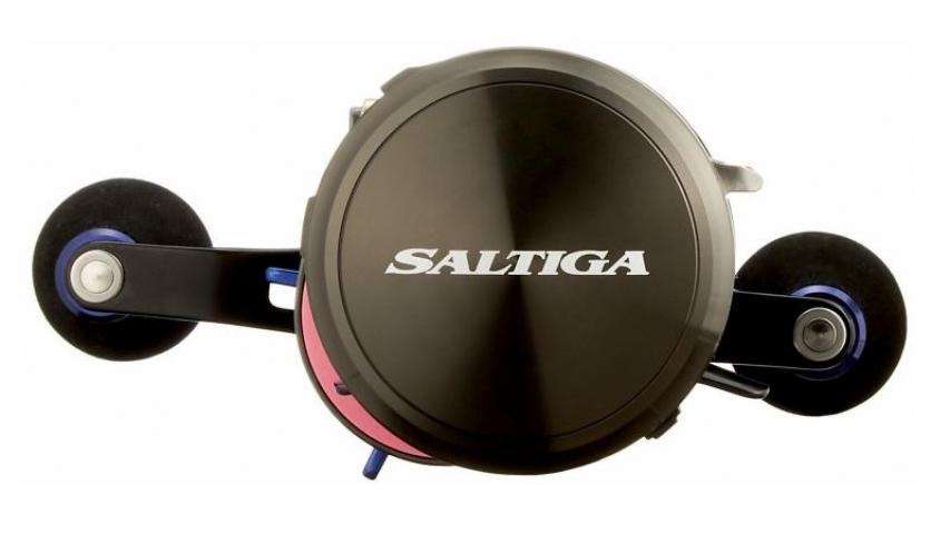 17 Saltiga BJ  100 left side