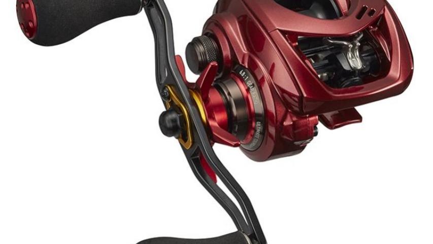 19 Admira right side