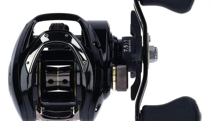 19 Bass X