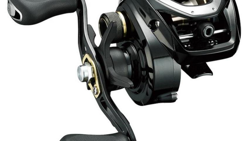19 Bass X