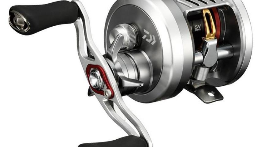 19 Millionaire CT SV righ side