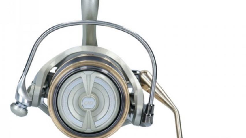 20 Emblem Surf Light 