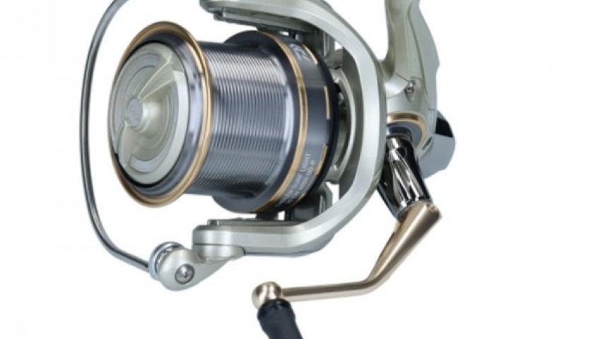 20 Emblem Surf Light 