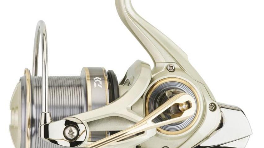 20 Emblem Surf Light 