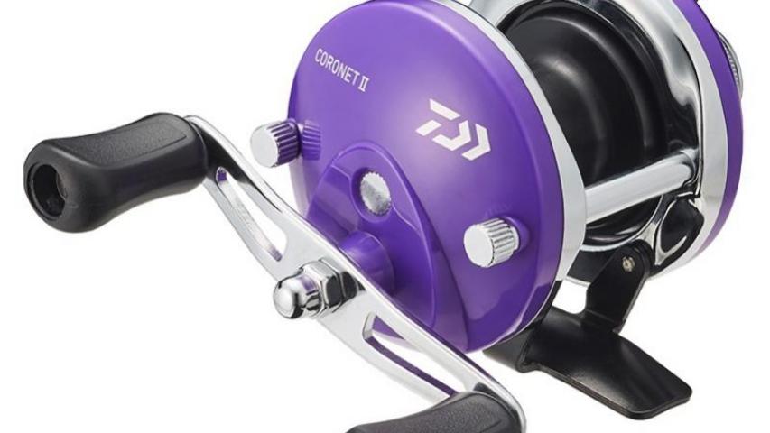 22 Coronet II violet