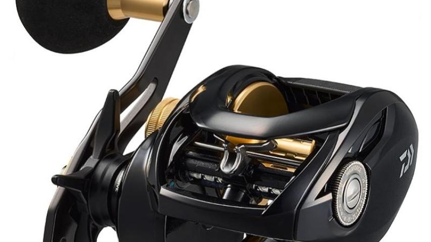 23 Seahawk TW Ento front/side