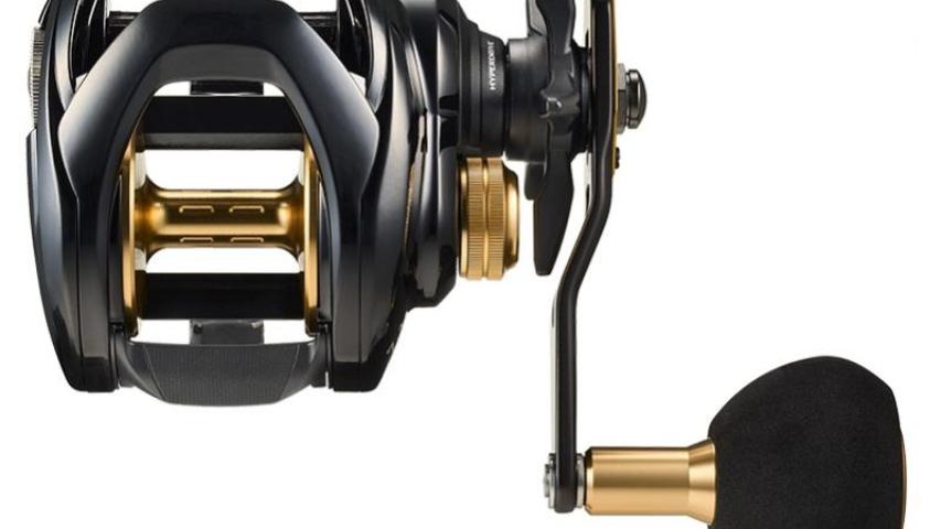 23 Seahawk TW Ento top