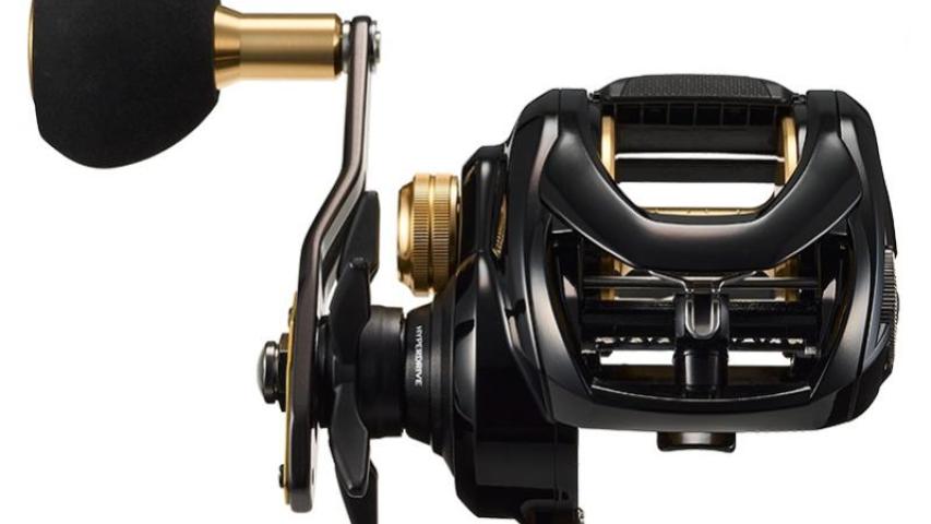 23 Seahawk TW Ento front