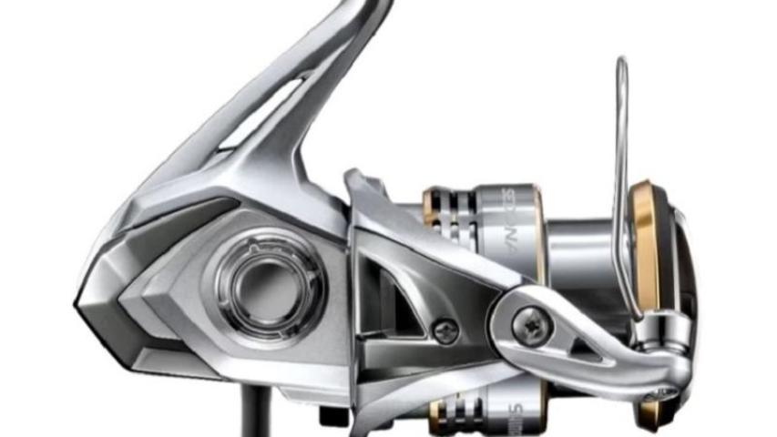 23 Sedona FJ right side