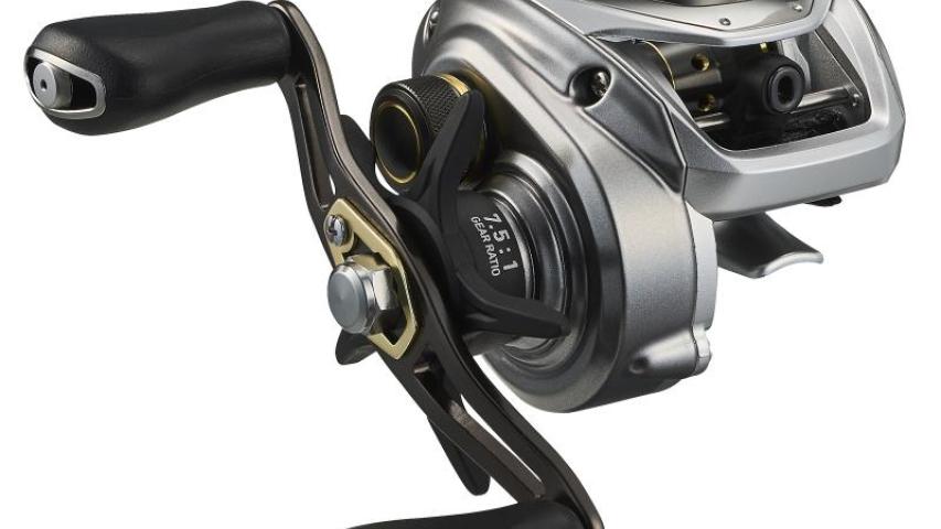 24 Bass X