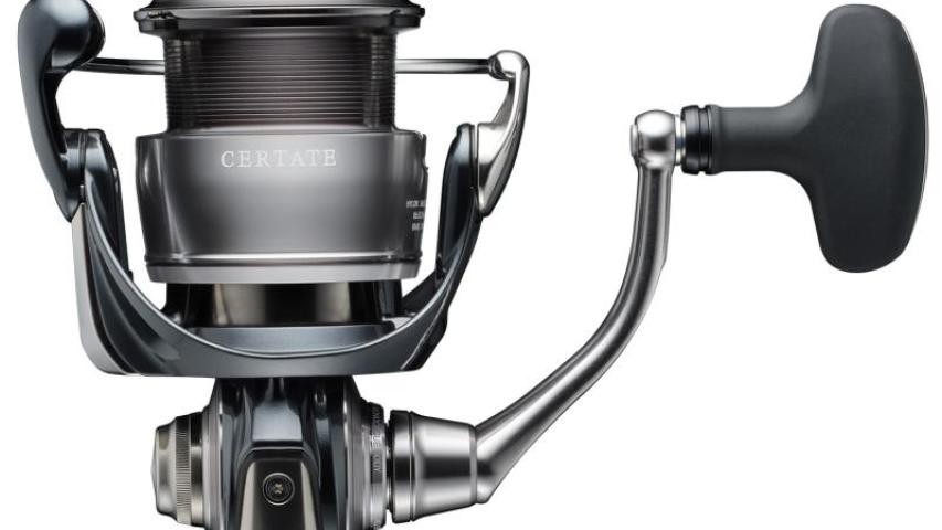 24 Certate bottom
