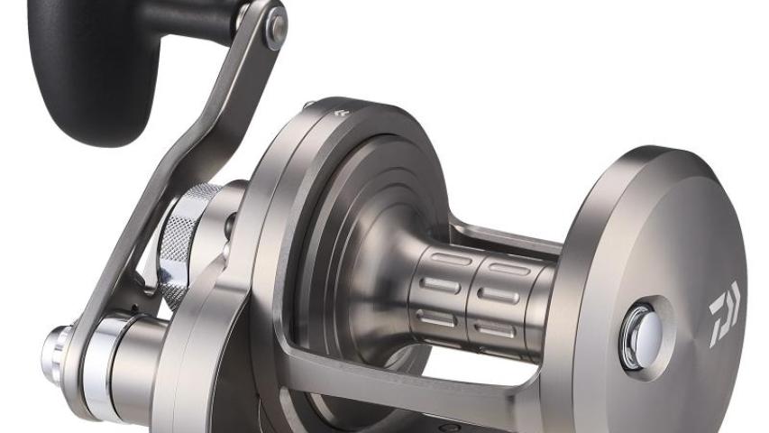 24 Sealine LD plate side/front