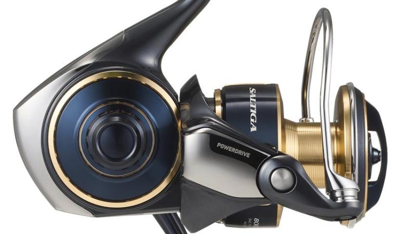 25 Saltiga right side