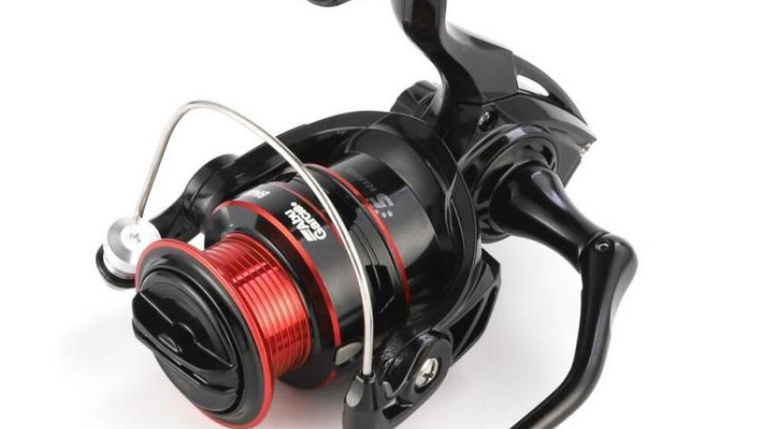 Black Max 2 top side