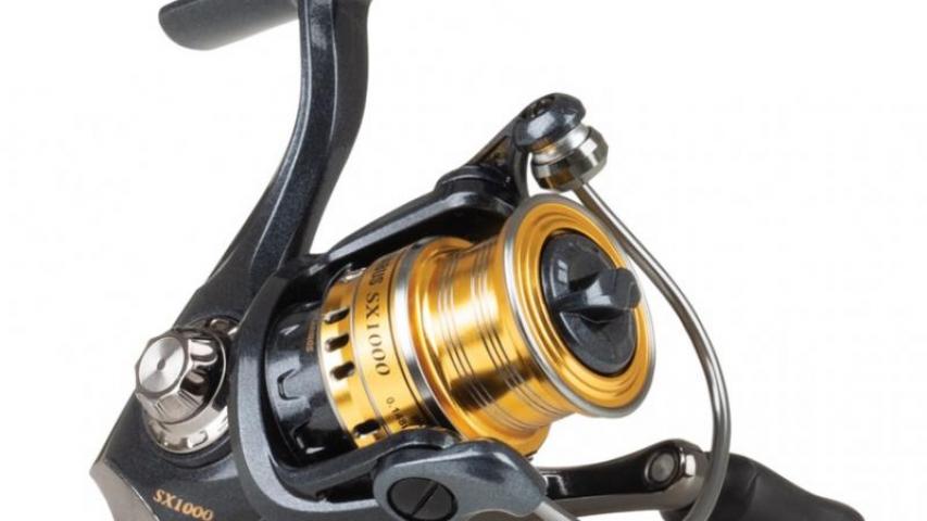 Carabus SX right side