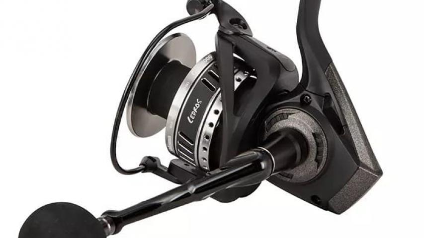 Cedros right left side