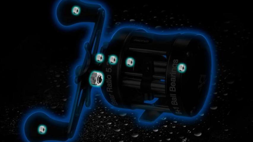 Chaos XS bearings map