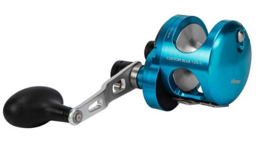 Custom Blue left side