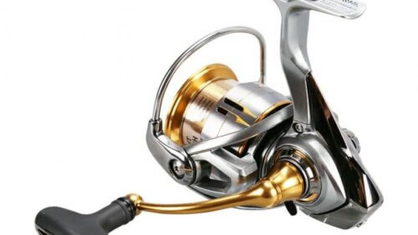 Freams CS LT