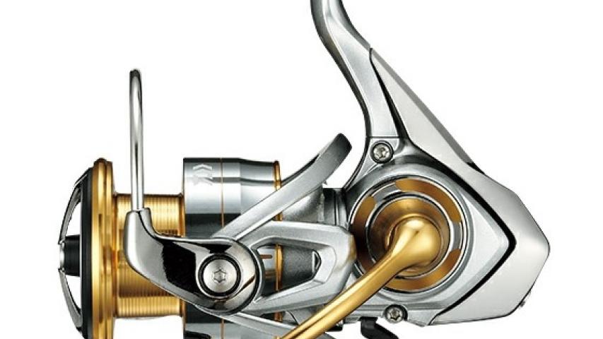 Freams CS LT