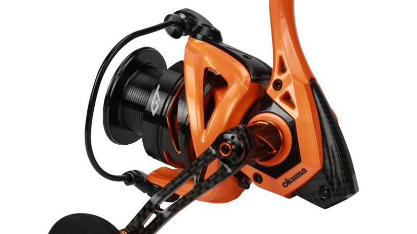 GT Limited Edition orange back side