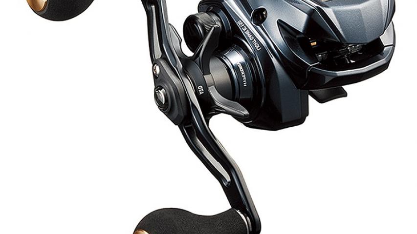 22 Light Game IC DH right