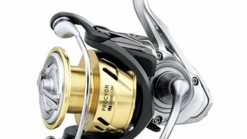 Procyon LT