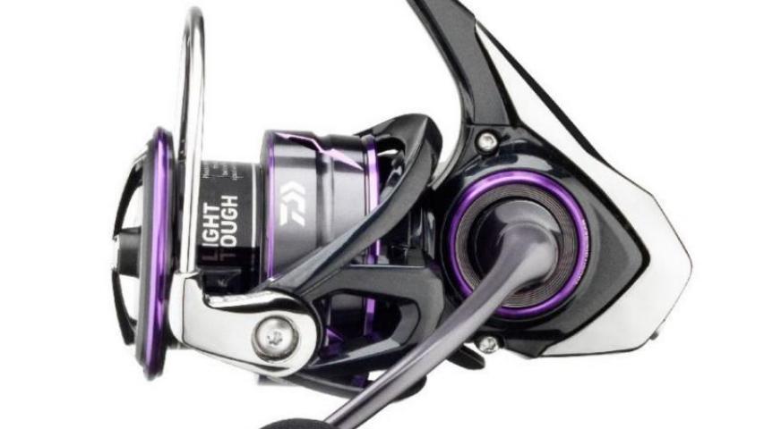 Prorex V LT