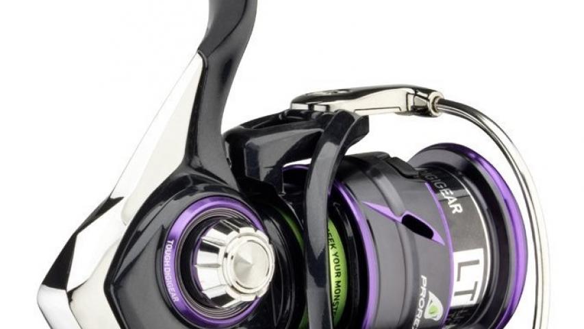 Prorex V LT