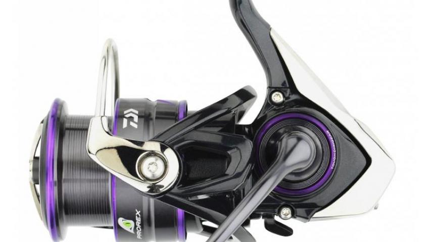 Prorex V LT