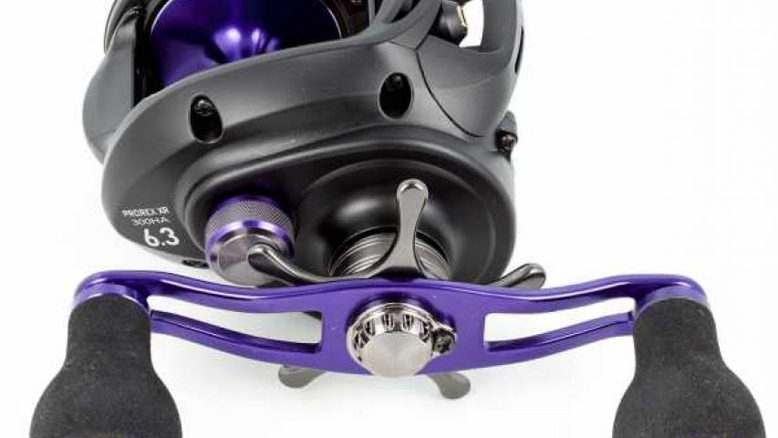 Prorex XR