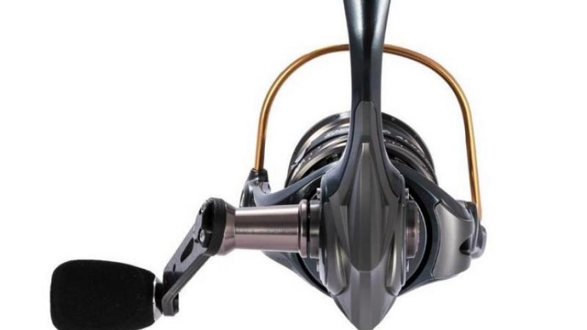 Revo ALX Theta back