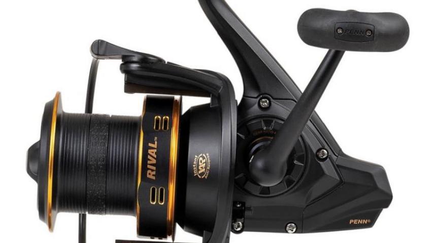 Rival Long Cast gold