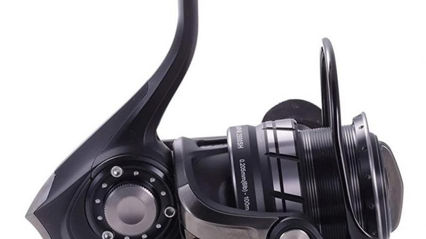 Roxani SP right side