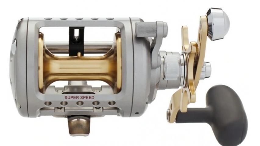 Saltist LW left back