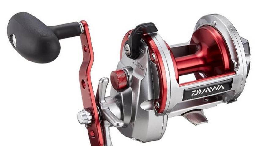 Sealine Ishidai right side