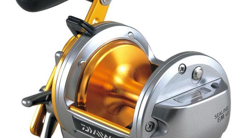 Sealine Ishidai left side