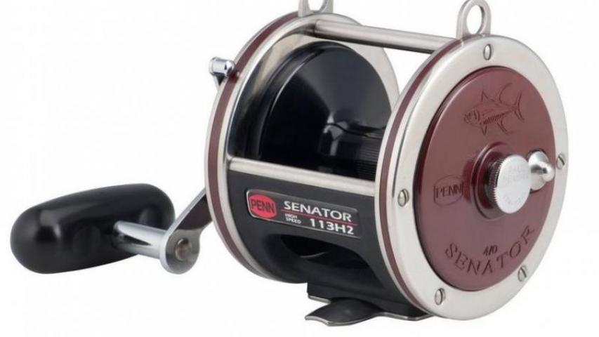 Special Senator SD left side