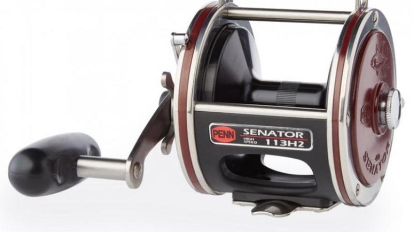 Special Senator SD front