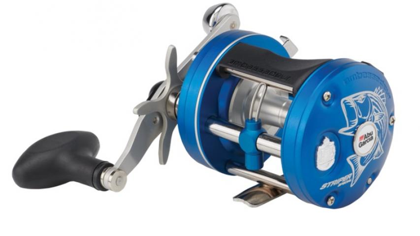  C3 Striper Special left side