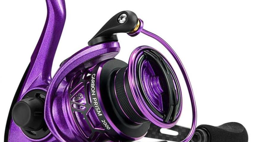Carbon Prism Violet Victory