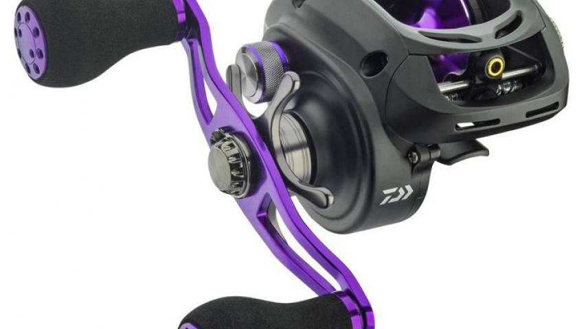 Prorex XR